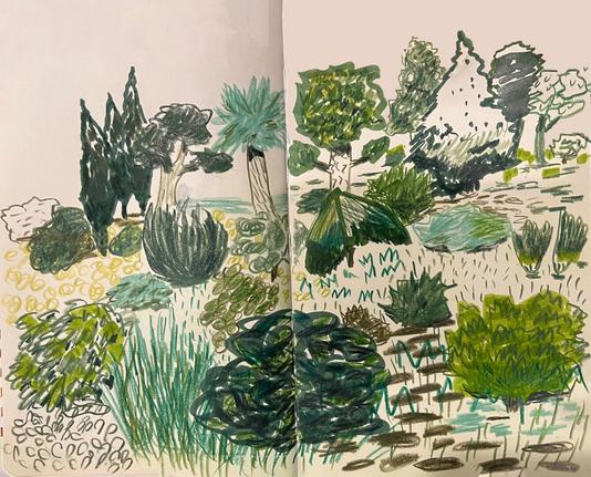 A drawing in many shades of green of trees, shrubs, and grasses.