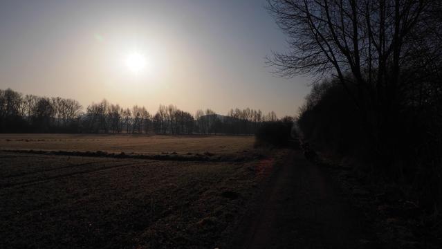 Feldweg am Morgen Kahle Büsche und Bäume säumen ihn. Die Sonne steht über den Wipfeln