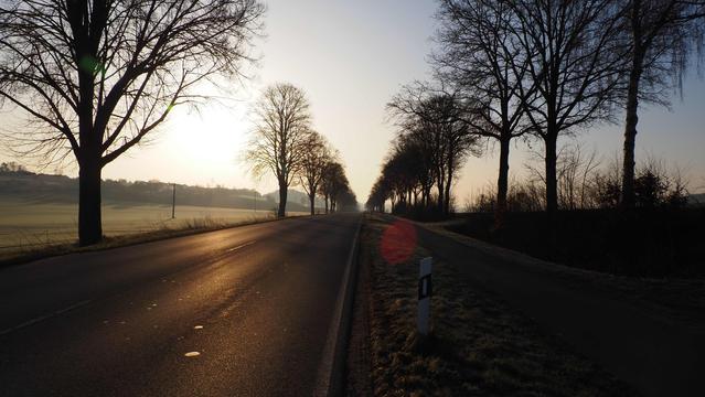 leere Bundesstraße am frühen Morgen, Sonne verbreitet goldenes Licht. kahle Bäume stehen am Straßenrand