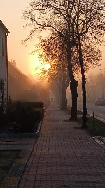 wir blicken einen Gehweg entlang, Richtung Sonnenaufgang.
Links am Rand ist eine Häuserfront, mittig der Fußweg und rechts am Bildrand eine Straße.
Zwischen Gehweg und Straße befindet sich noch eine Allee mit Lindenbäumen, die ihre kahlen Äste in den mit Nebel verhangenen Himmel strecken.
Zwischen den Ästen und vom Nebel leicht verdeckt, leuchtet eine Orangefarbene Sonne und erleuchtet auch den nebel in diesen Farben