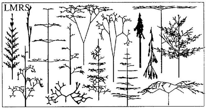 Diverse morphologies of computer-generated plant architectures showing morphological fitness optima for different functions. Figure from Niklas, Karl J. "Evolutionary walks through a land plant morphospace." Journal of Experimental Botany 50.330 (1999): 39-52.
