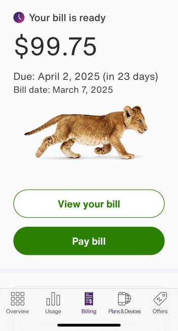 Your bill is ready Due: April 2, 2025 (in 23 days) Bill date: March 7, 2025 View your bill Pay bil Overview Usage Billing Plans & Devices Offers