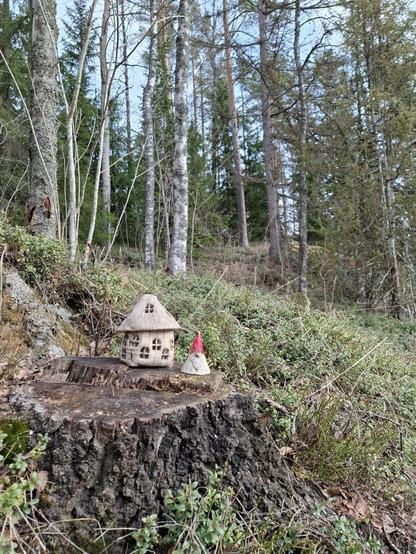 Keraaminen tonttu ja mökki kannolla metsän laidassa.