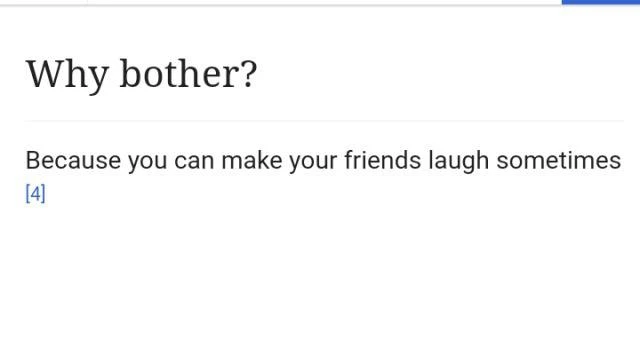 Title: "Why bother?"
"Because you can make your friends laugh sometimes [citation marker]"