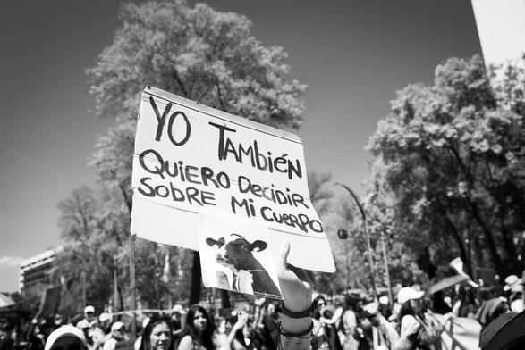 Fotografía en blanco y negro en la Marcha Feminista 2025 del 08 de marzo en Ciudad de México.

En el centro de la imagen una mano con algunas cintas y pulseras en su muñeca sostiene un cartel que a la letra dice: YO TAMBIÉN QUIERO DECIDIR SOBRE MI CUERPO.

A su alrededor desenfocadas se ven otras mujeres de espaldas, algunas llevan el cabello suelto, otras llevan gorras, al costado derecho se observa un árbol enorme, al fondo unos postes y otros árboles muy grandes y en el fondo unos edificios.

©Sofía Dumat|CLAMOR DE LIBERTAD