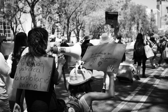 Fotografía en blanco y negro en la Marcha Feminista 2025 del 08 de marzo.

Un grupo de manifestantes va caminando por la calle reforma en Ciudad de México, se observan desenfocadas algunas mujeres con sombreros, otras van cargando bolsas, se mira una hilera de árboles a su costado derecho y hasta el fondo unos edificios.

En la parte izquierda de la imagen una compa sostiene un megáfono con algunas pegatinas incrustadas en él, con una parte de su cabello cubre un cartel que lleva colgado de la espalda y se alcanza a leer: Na...más patriarcal que la explotación animal. A su lado hay una pequeña niña con un sombrero de carita feliz que en su espalda carga una pequeña mochila con su mano derecha sostiene un cartel que a la letra dice: "No mates a los animales. Los preferimos vivos". Y unos dibujos de una flor abajo de las letras y otro dibujo que no distingo bien qué es, unos corazones alrededor del cartel.

©Sofía Dumat|CLAMOR DE LIBERTAD