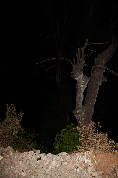 Photo de nuit prise au flash avec au premier plan un tas de cailloux blanc et au deuxième plan sur la droite la silhouette d'un arbre.
Les trois quarts de la photo sont noir.

Copyright: Karim Kal