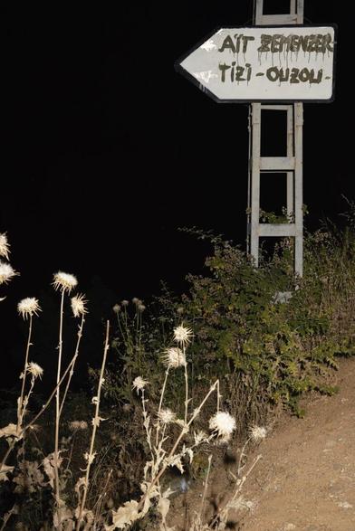Photo de nuit prise au flash avec au premier plan des plantes graminées blanches et au deuxième plan sur la droite un panneau indicateur "Ait Zemenez / Tizi Ouzou".
Les deux tiers de la photo sont noirs.

Copyright: Karim Kal