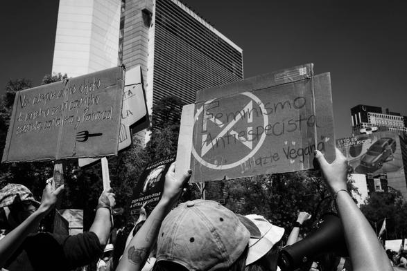 Fotografía en blanco y negro en la Marcha Feminista 2025 del 08 de marzo.

Un grupo de manifestantes va caminando una calle en Ciudad de México, es un contingente grande, al fondo se ven edificios y árboles.

Una compañera con gorra levanta un cartel con sus dos manos, tiene un símbolo de un círculo y una x. Con letra dice: FEMINISMO ANTIESPECISTA !!! Hazte Vegana y dibujados unos corazones pequeños.

A su lado otra sostiene un cartel con algunas letras que dice: VER CUERPOS COMO OBJETOS DE CONSUMO ES UN CAPRICHO ESPECISTA, CAPITALISTA Y PATRIARCAL.

©Sofía Dumat|CLAMOR DE LIBERTAD