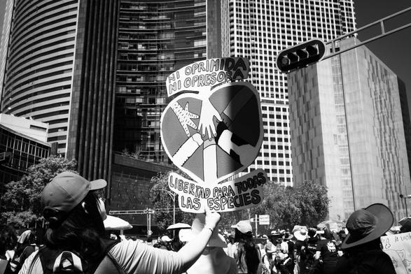 Fotografía en blanco y negro en la Marcha Feminista 2025 del 08 de marzo.

Un grupo de manifestantes va caminando una calle en Ciudad de México, es un contingente grande, al fondo se ven edificios altos con muchas ventanas, algunos árboles y un semaforo en la parte de arriba.

Una compañera con gorra, levanta un cartel con su mano derecha que se divide en tres partes, la primera parte dice: NI OPRIMIDA NI OPRESORA, en medio un dibujo de un corazón con varios brazos uno de una humana, una de gallina y otras cuatro de pezuñas de otros animales, en la parte de abajo del cartel la frase. LIBERTAD PARA TODAS LAS ESPECIES.

©Sofía Dumat|CLAMOR DE LIBERTAD