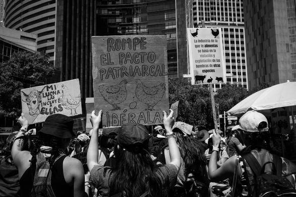 Fotografía en blanco y negro en la Marcha Feminista 2025 del 08 de marzo.

Un grupo de manifestantes va caminando una calle en Ciudad de México, es un contingente grande, con mujeres que llevan gorras o paliacates en su cabeza, al fondo se ven edificios altos con muchas ventanas, algunos árboles en la parte derecha de la imagen y otro del lado izquierdo.

En la linea central izquierda una compañera sostiene un cartel con ambas manos que a la letra dice ROMPE EL PACTO PATRIARCAL, en el centro están dibujadas dos gallinas y un huevo y en la parte de abajo del cartel la palabra LIBÉRALAS.

A la izquierda una compañera sostiene con su mano izquierda un cartel que dice:MI LUCHA LAS INCLUYE A ELLAS y al lado derecha dibujada una gallina y a la izquierda dibujada una cabeza de una vaca con un corazón en la frente. A la derecha otra compi sostiene un cartel que tiene figuras de unos animales considerados de granja y a la letra dice: La industria de la que te alimentas se basa en la violación y explotación de las hembras de otras especies.

©Sofía Dumat|CLAMOR DE LIBERTAD