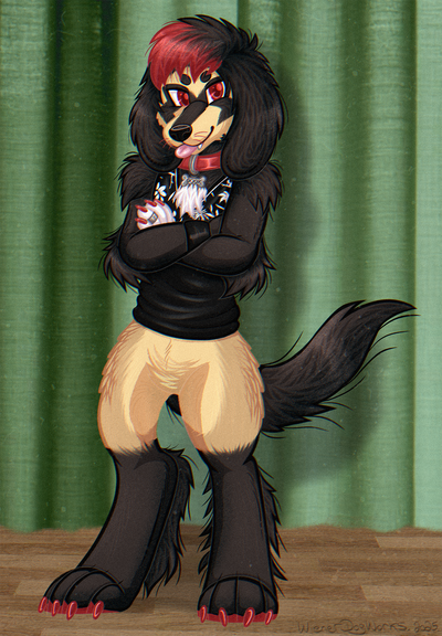 An anthropomorphic male English springer spaniel dog character is standing on a wooden floor in front of a green curtain. The character is very fluffy, with long fluffy floppy ears that resemble 1970s style bushy long hair. He is looking at the viewer with his arms crossed, tongue out in a blep, and a slightly flirty expression. He is wearing a red dog collar with a bone shaped metal tag that says "DOOK" on it, and a sleeveless V-neck black shirt with a white floral pattern near the collar. There's photo grain artifacting all over the image.