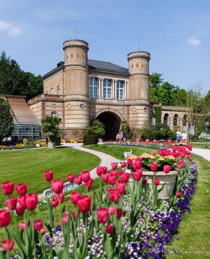A bright sunny day in springtime, with a curving line of bright red tulips and low dark purple and pale pink flowers leading up to a majestic looking old stone building. The building has two towers on the front corners and 3 tall mullioned windows. There is a dark archway between the towers and there are some people walking around in light clothing. The lawns that flank the curving white paths and flower beds are very green.