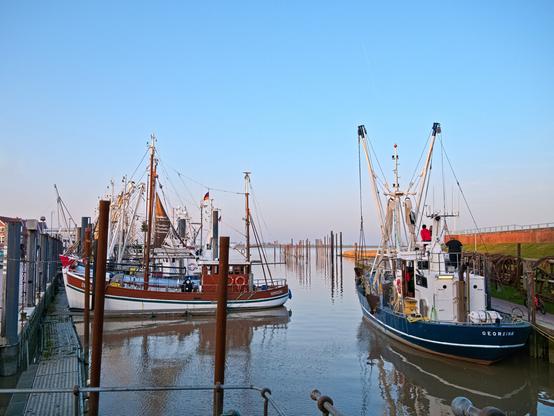 A small harbour in the evening light. Several boats are anchored, their masts rising into the cloudless sky. They are fishing boats/cutters. The fairway is very narrow and is bordered in the background by poles protruding from the water. It is a peaceful sight.