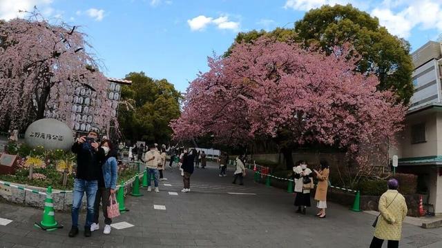 Relaxing Bike Ride in Ueno | Tokyo, Japan 4K | VXT TRAVEL