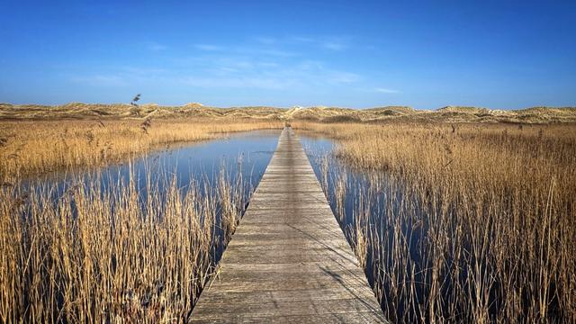 A boardwalk in the dunes of Ameland leads across a small inland lake towards the beach. The weather is sunny with a blue sky.
