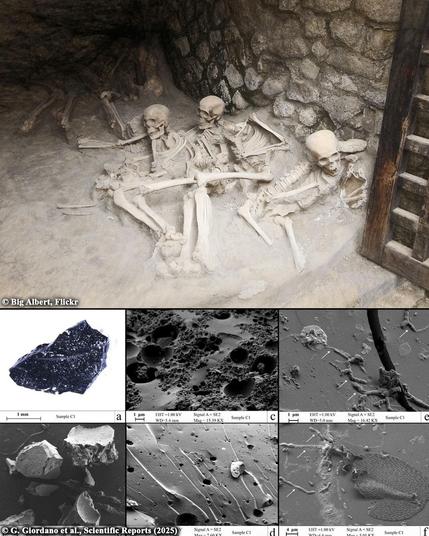 Ancient “glass brain” mystery: how Mount Vesuvius turned a man’s brain to glass

In 79 CE, Mount Vesuvius erupted with devastating consequences, wiping out the Roman cities of Pompeii and Herculaneum and killing thousands. One victim, a man in his early twenties, was found in bed inside a building called the Collegium Augustalium. Scientists uncovered his remains in the 1960s and stumbled upon a baffling discovery—his skull contained pieces of what looked like black, glass-like material. A recent study published in Scientific Reports offers new insights into how his brain might have undergone a remarkable transformation, turning to glass through a process known as vitrification...