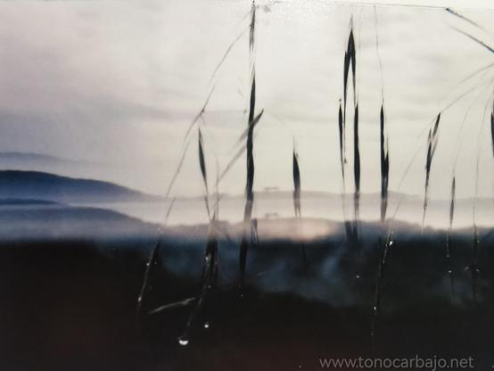 Una imagen de tonos grises y azules muestra un paisaje brumoso. En primer plano, tallos altos y delgados de hierba oscura se destacan contra un fondo difuminado. El fondo muestra una serie de colinas o montañas suavemente onduladas que se pierden en la niebla o la bruma.Las montañas están duplicadas por un filtro analógico ante el objetivo.  La atmósfera es serena y tranquila, con una sensación de quietud y misterio.