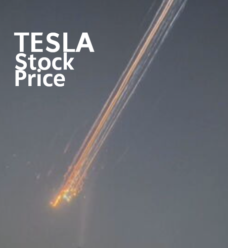 TESLA 
Stock
Price
