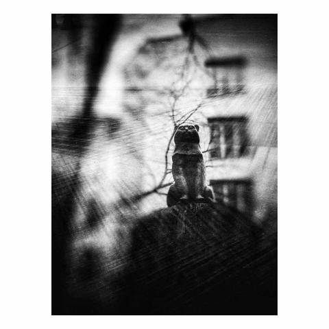 Photographie en double exposition d'une sculpture de Agnès Varda représentant un chat. La sculpture s'appelle Nini sur son arbre et elle est dans le jardin de la Fondation Cartier à Paris.