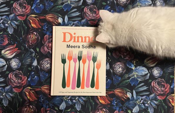 En hvit katt som snuser nysgjerrig på kokeboken Dinner av Meera Sodha. Boken ligger på en blomstermønstret duk.