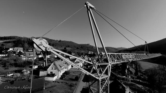 Monochrome picture of the top of a crane on the Gierskopp in front of the view of the Borberg (left), the Ruthenberg and the Bruchhauser Steine (right).