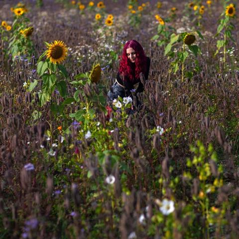 A red haired woman enjoying sunshine in the middle of a field of flowers