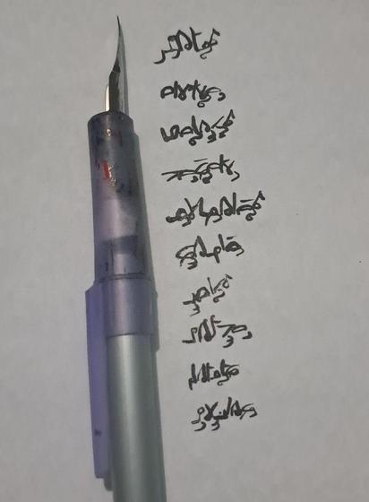 side nib

words written in sylvin raven condensed,
a sylvan fey wilds script used nature spirits, faerie creatures, and otherworlders.
Configured to be used for all of the characters of the geblin script, and useable for english and similar scripts!