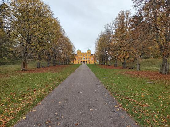 Das Bild zeigt eine lange, gerade Allee, die von hohen Bäumen gesäumt wird, die ihr Laub teilweise verloren haben. Die Blätter auf dem Boden und die herbstliche Färbung der verbleibenden Blätter deuten auf die Jahreszeit Herbst hin. Am Ende des Weges thront ein imposantes, gelb-orangefarbenes Schloss mit zwei markanten Türmen und grünen Dächern. Das Schloss steht auf einer kleinen Anhöhe und ist über eine kurze Treppe erreichbar. Die Szenerie wirkt ruhig und idyllisch, mit vereinzelten Parkbänken entlang des Weges, die zum Verweilen einladen. Der Himmel ist bewölkt, was eine leicht gedämpfte Lichtstimmung erzeugt.