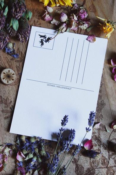 Die weiße Rückseite der Postkarte. Im Viereck für die Briefmarken ist die Illustration der drei Hasen wiederzufinden.