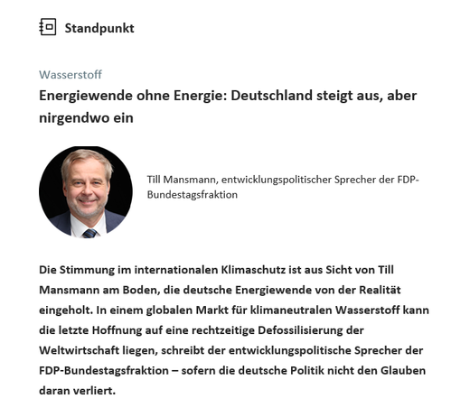 Screenshot mit Teaser eines Artikels des Background Tagesspiegel Newsletters Klima Energie vom 11.3.25. Auf dem Bild die Überschrift 1 + 2 sowie ein Photo von TIll Mansmann, entwicklungspolitischer Sprecher der FDP.