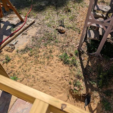 Taken from the top of a stoop, looking over at the yard on the right side. It is mostly dirt, with a gopher tortoise having decided that's a good place for a burrow.