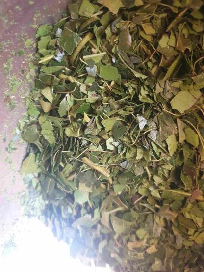 Feuilles de houx séchées concassées en paillettes.