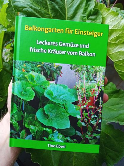Dieses Bild zeigt ein Buch mit dem Titel „Balkongarten für Einsteiger“ von Tino Eberl. Der Untertitel lautet: „Leckeres Gemüse und frische Kräuter vom Balkon“. Das Cover ist grün und zeigt eine üppige Bepflanzung mit großen grünen Blättern und verschiedenen Kräutern in Töpfen auf einem Balkon. Eine Hand hält das Buch vor große, grüne Rhabarberblätter im Hintergrund.