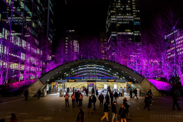 Picture shows the entrance to Canary Wharf Tube Station taken at night. The entrance is semi circular and is surrounded by bare winter trees lit with purple lights. In the background their are tall office blocks.