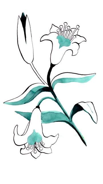 Dessin d’une tige de fleurs à l’encre turquoise