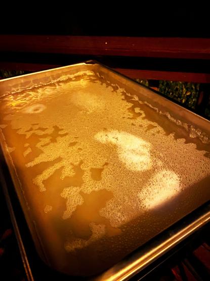 Color image of maple sap boiling in an evaporator in Bath Township, Summit County, Ohio, USA. Image shows a frothy top to the sap as it turns from a clear sap to a warmly amber syrup in the process.