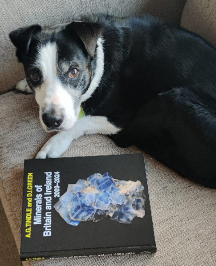 A black and white collie lies on a pale sofa, with a book "AG Tindle and DI Green Minerals of Britain and Ireland 2009-2024" beside him. The book has a photo of some beautiful blue crystals on the cover. The dog looks slightly belligerent, as though he is being pssessive of the book.