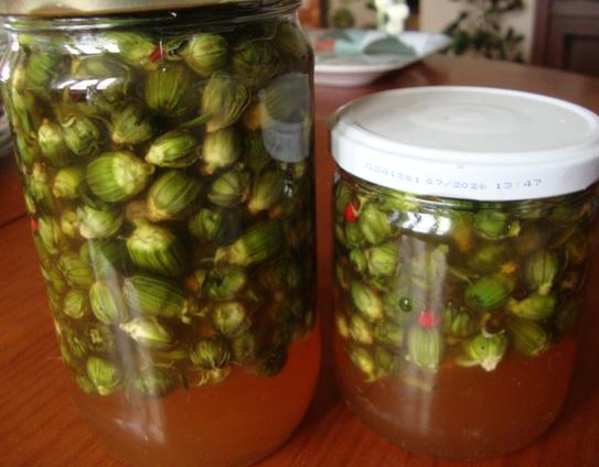 Bocaux de câpres (boutons) de pissenlit et pâquerettes aromatisé au thym, laurier, estragon, graines de coriandre et de poivre, baies roses.