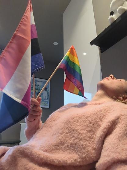 The image captures a woman in her apartment.

The foreground is dominated by the woman holding two flags.

Behind them, a poster is visible, and a shelf holds a plushie.