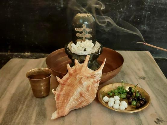 Against a black-painted wall and on a red and black cement floor (mostly obscured), a square slab of unpolished pink marble (scrap I'd found locally, and brought home and cleaned up) with Lord Shiva in the form of the Shiva lingam, placed in a copper vessel. An ivory and coppery red-brown conch shell is propped up against the vessel's rim, dedicated to the deity. The deity is decorated with a tilak painted on with sandalwood powder, a band of sacred thread, and the two jasmine flowers in the previous picture. There's a small brass tumbler of fresh water and a small brass plate of American black nightshade (Solanum americanum) fruits, both ripe and unripe, and a handful of nôkuldana (mimosa sugar balls) -- today's offerings to the deity. An incense stick burns slowly to the right side, with wisps of smoke curling loosely around the Shiva lingam.