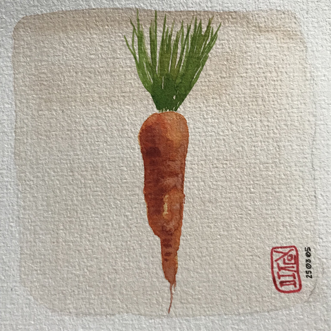 Watercolour illustration of a carrot