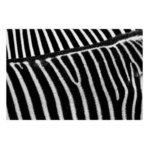 Black and white photograph of two side-by-side zebras and a set of lines.