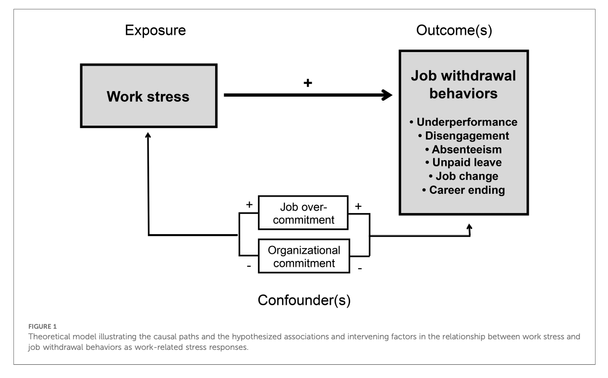 Theoretical model illustrating the causal paths and the hypothesized associations and intervening factors in the relationship between work stress and job withdrawal behaviors as work-related stress responses.
