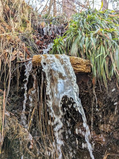A close-up shot of a small, natural waterfall in a forest in the Harz mountains. Water cascades over a rough, light-coloured rock face, creating a small waterfall with a blurred, motion-filled effect. The water flows down onto dark, damp earth and rocks below. Dry, brown grasses and twigs are visible along the edges, contrasting with the flowing water and the green foliage of plants to the right.