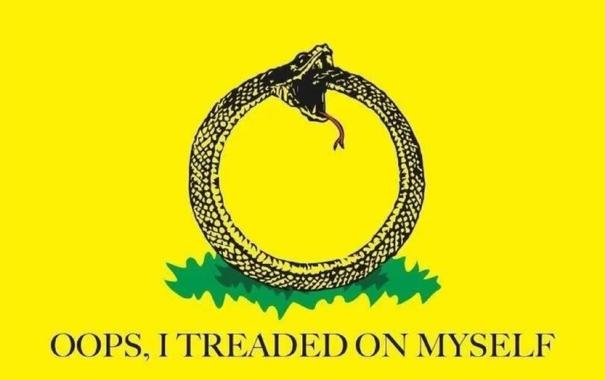 Parody Gadsden flag, where the snake is in a circle eating it's own tail. The text reads, "Oops, I Treaded On Myself"