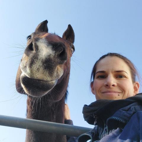 Selfie mit einem Pferd - die Kamera fotografiert von unten, daher sieht man vom Pferd hauptsächlich das Maul mit den vielen Tasthaaren. Es sieht so aus, als würde das Pferd grinsen.