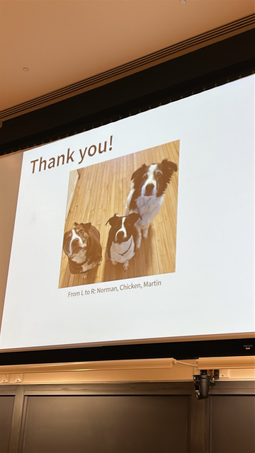 A thank you slide with three dogs who are some variation of black or brown and white staring up so hopefully at the camera. One is a small pittie, one is some kind of terrier mix, and one is a fluffier mutt. Their names are Norman (pitt), Chicken (littler terrier type), and Martin (bigger and fluffier)
