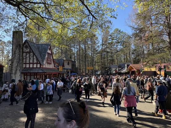 A bustling Renaissance fair with timber-framed shops, costumed visitors, and a lively crowd enjoying food, shopping, and entertainment.