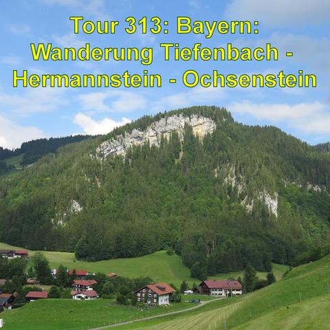 Ein idyllisches Alpenpanorama mit einem kleinen Dorf im Tal. Die traditionellen Häuser mit dunklen Holzfassaden und roten Dächern liegen eingebettet in sattgrüne Wiesen. Hinter dem Dorf erheben sich dichte Wälder, die die unteren Hänge eines eindrucksvollen Berges bedecken. Die Spitzen des Berges bestehen aus nacktem, felsigem Kalkstein. Der Himmel ist teilweise bewölkt, aber größtenteils klar und blau, was auf schönes Wetter hindeutet. Die Szene strahlt Ruhe und die Schönheit der natürlichen Berglandschaft aus.